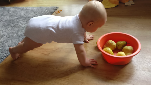 Trageberaterin Trageberatung Tragetuch Tragehilfe Greifswald Stralsund Anklam Usedom Rügen Vorpommern